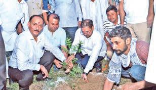 Satish launches plantation drive; emphasises importance of afforestation