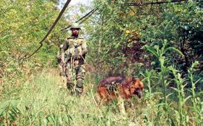 SFs launch search ops in Kishtwar, Poonch over possible terrorist movement
