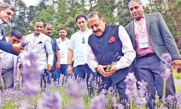 Lavender gave Bhaderwah national identity: Dr Jitendra