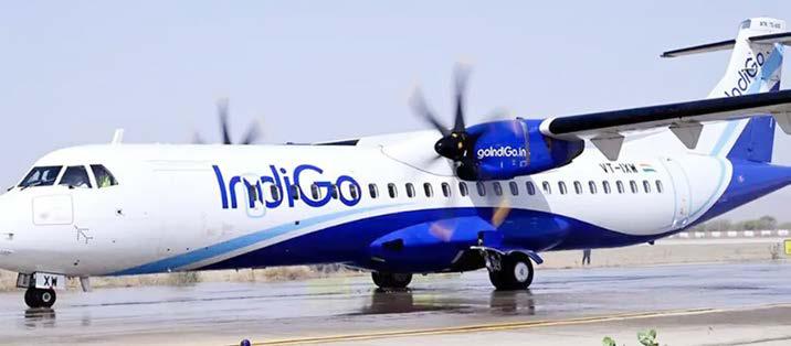 "நீ பறக்க தகுதியற்றவன், செருப்பு தைக்க போ.."