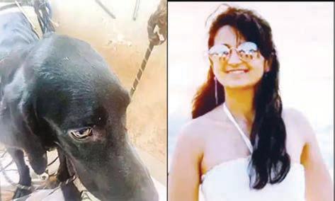 வளர்ப்பு நாயை கொடூரமாக கொன்ற பெண் கம்ப்யூட்டர் என்ஜினீயர்