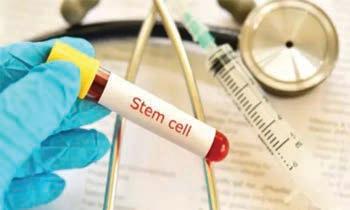 குஜராத்தில் சட்டவிரோத ஸ்டெம் செல் சிகிச்சை பரிசோதனை; 741 பேர் உயிரிழப்பு