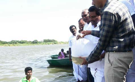 ஸ்ரீவைகுண்டம் அணைக்கட்டில் ஒரு லட்சம் மீன்குஞ்சுகள் விடும் பணி