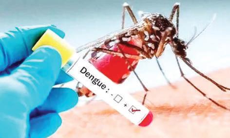 சென்னையில் அதிகரிக்கும் டெங்கு காய்ச்சல் பொதுமக்கள் விழிப்புடன் செயல்பட அறிவுறுத்தல்