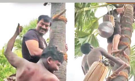 தூத்துக்குடி: கள் இறக்கும் போராட்டத்தில் பங்கேற்று பனை மரம் ஏறிய சீமான்