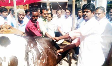 விழுப்புரம், திண்டிவனம் பகுதிகளில் 4,54,500 கால்நடைகளுக்கு தடுப்பூசி
