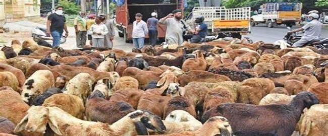 பக்ரீத் பண்டிகை: வாரச்சந்தையில் ரூ.3 கோடிக்கு ஆடுகள் விற்பனை