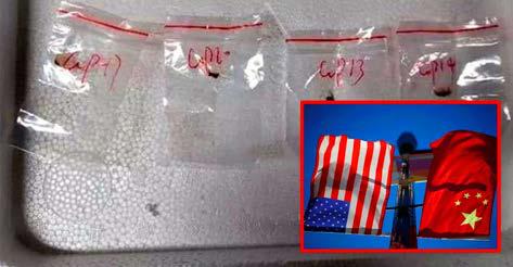 விவசாயத்தை அழிக்க அமெரிக்காவிற்குள் அபாயகர கிருமியை கடத்திய சீன ஆராய்ச்சியாளர்கள் கைது