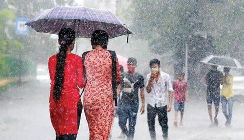 நீலகிரியில் மீண்டும் சூறாவளி காற்றுடன் மழை