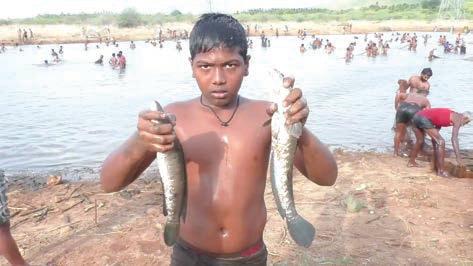 மணப்பாறை அருகே 3 ஆண்டுகளுக்கு பின் நடைபெற்ற மீன்பிடித் திருவிழா