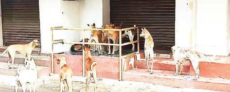 பள்ளி-கல்லூரி மாணவர்களுக்கு பேச்சுப் போட்டிகள்