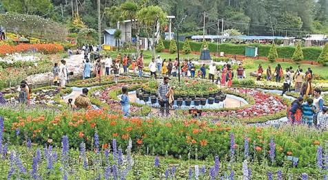 கொடைக்கானலில் மே 24-ல் மலர்க் கண்காட்சி தொடக்கம்