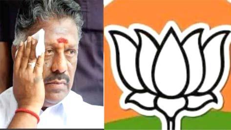 பா.ஜ.க. கூட்டணியில் தொடரலாமா? புதிய கட்சியை தொடங்கலாமா?