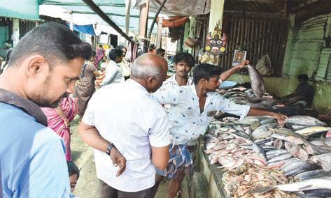 தடைக்காலம் முடிந்ததால் ஈரோடு மார்க்கெட்டில் மீன்வரத்து அதிகரிப்பு
