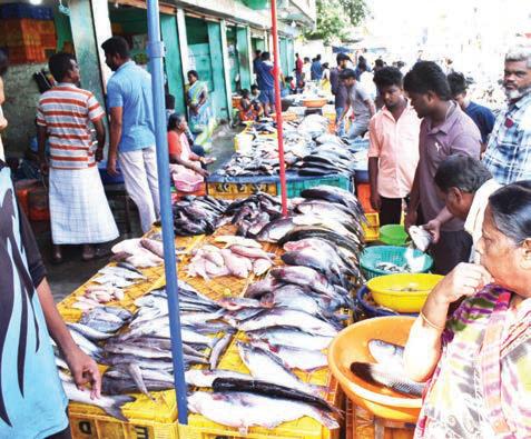 ஈரோடு மார்க்கெட்டில் மீன்கள் விலை உயர்வு:வஞ்சரம் ரூ. 1200-க்கு விற்பனை