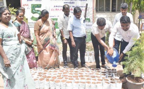 உலக சுற்றுச்சூழல் தினத்தை முன்னிட்டு, மரக்கன்றுகள் உற்பத்திக்கான விதை நடவு பணிகள்