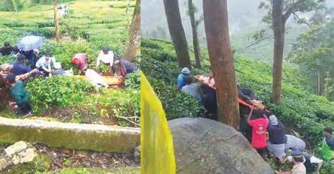 ஜீப் கவிழ்ந்து சென்னை சுற்றுலா பயணி பலி