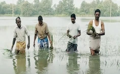 டெல்டா மாவட்டத்தில் புயலால் சேதம் அடைந்த நெல் பயிருக்கு ஹெக்டேருக்கு ரூ. 20 ஆயிரம் வழங்கப்படும்