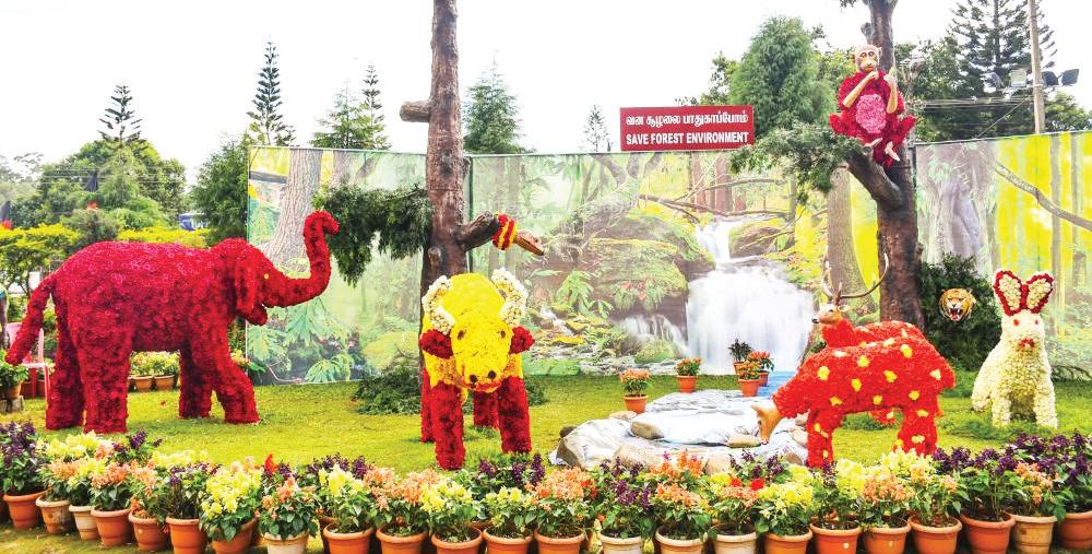 ஏற்காடு 48வது கோடை விழா- மலர் கண்காட்சி: அமைச்சர்கள் தொடங்கி வைத்தனர்