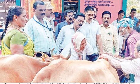 72 ஆயிரம் கால்நடைகளுக்கு காணை நோய் தடுப்பூசி முகாம்