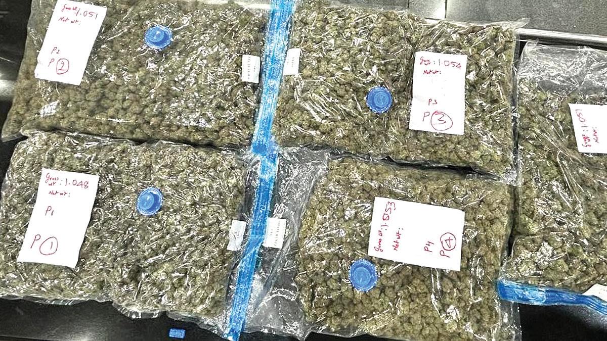 கோவை விமான நிலையத்தில் ரூ.5 கோடி மதிப்பிலான உயர்ரக கஞ்சா பறிமுதல்