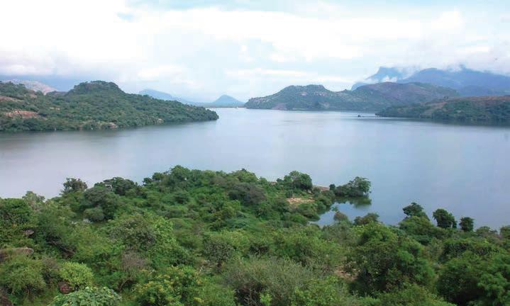 உடுமலை அமராவதி அணை நீர்மட்டம் ஒரே நாளில் 6 அடி உயர்வு