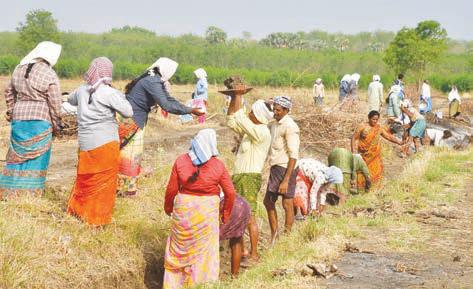 100 நாள் வேலை திட்ட தொழிலாளர்களுக்கு சம்பளம் உயர்வு