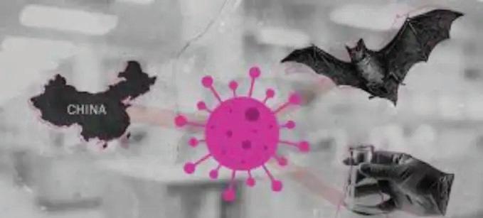 அடுத்த பெருந்தொற்றுக்கு தயாராகுங்கள்; பீதியை கிளப்பும் வௌவால் வைரஸ்