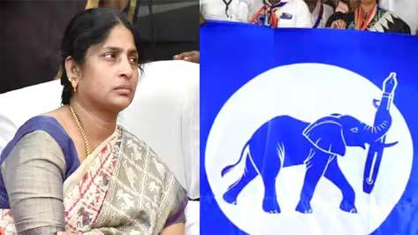 புதிய கட்சி தொடங்கினார் ஆம்ஸ்ட்ராங் மனைவி