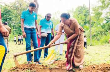 SL Olympians conduct tree planting programme