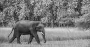 Jumbo journey planning to conserve energy