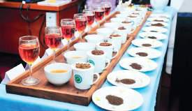 Colombo Tea Auction: BOP struggles while lower-grade teas gain