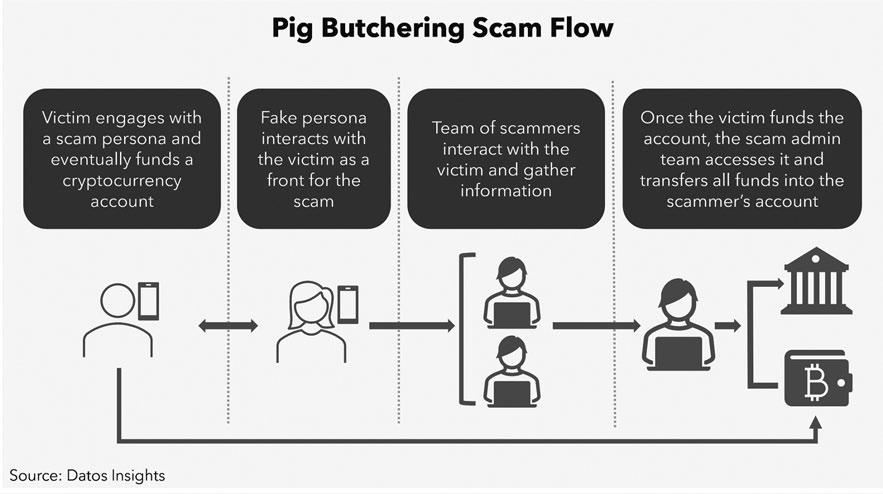'Pig butchering' scams have stolen billions from people around the world: Here's what you need to know