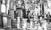 Breathing life into the city of the dead