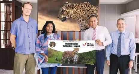 DFCC Bank and WWCT partner to advance biodiversity and landscape conservation through leopard protection