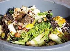 Turning kitchen waste into a homegrown solution