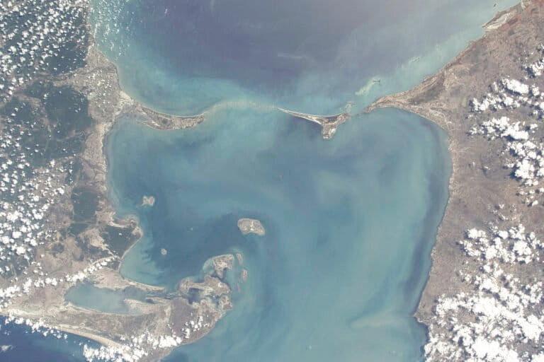 Dugongs recovering, need cross-border efforts in conservation