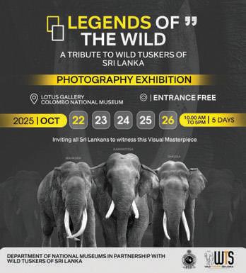 Legends of the Wild: A tribute to Sri Lanka's vanishing giants