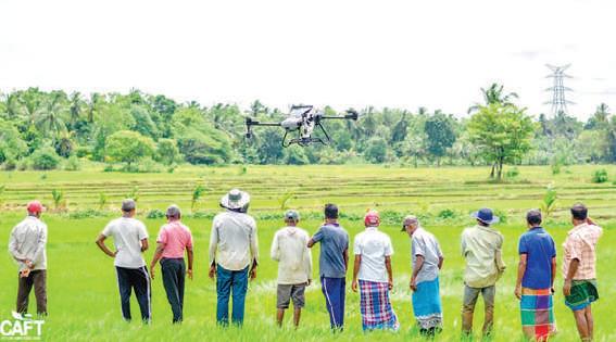 Ceylon Agro Food Technologies: Cultivating solutions for Sri Lanka's agri-crisis