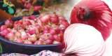 Medicinal value of onions