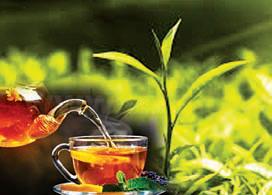 Tea market softens as key buyers reduce activity