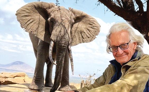 Iain Douglas-Hamilton: Science, courage, and the battle for elephants