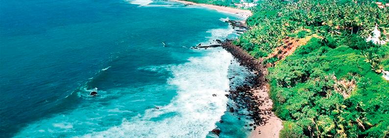 Sri Lanka's coastline faces unfolding catastrophe: Expert