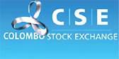 Significant institutional participation props up CSE