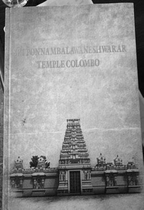 Vivid chronicle of iconic Hindu temple