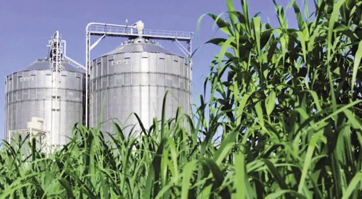 Let's tread slowly with biofuel ambitions