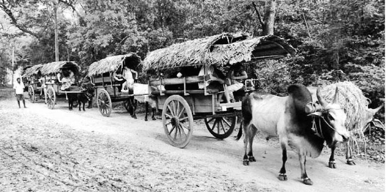 Seeing the Batticaloa district from the outside during my Ampara days