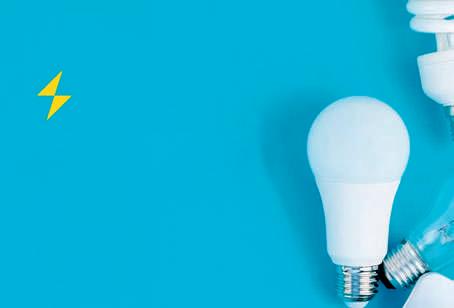 Protecting Electricity: An investment in our future