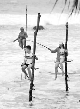 Chinese tourists flock to Lanka despite strained ties