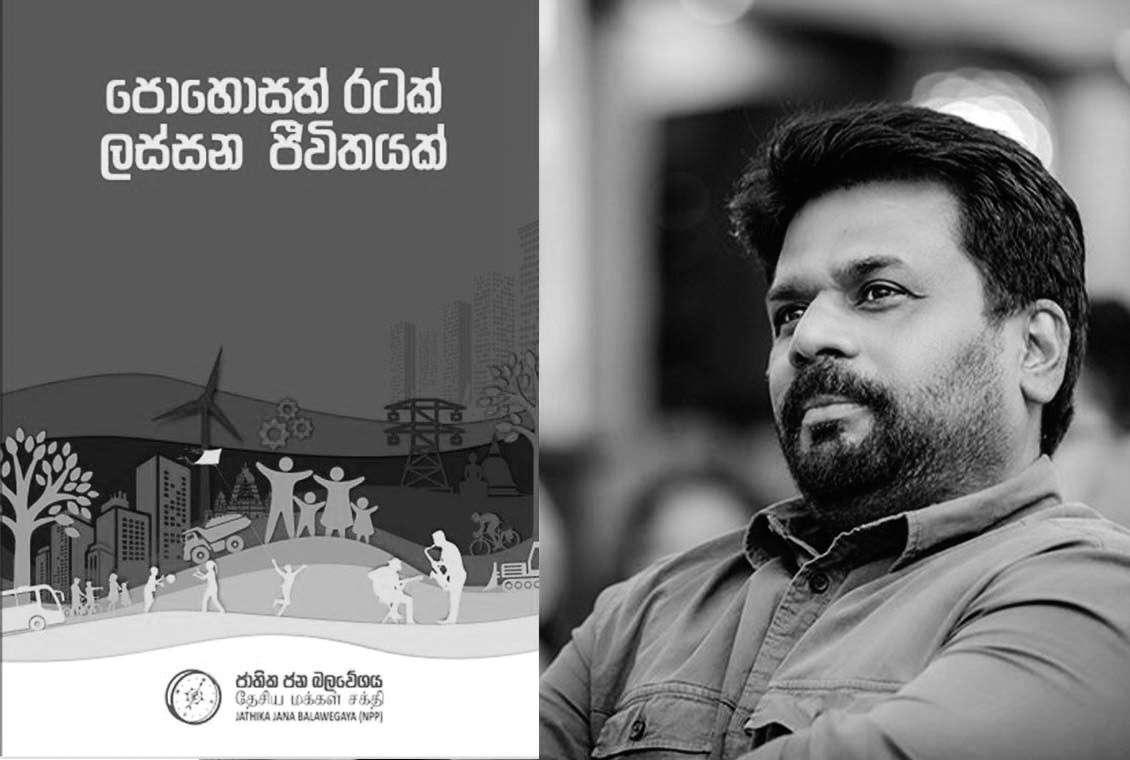 What will the NPP do in the future?